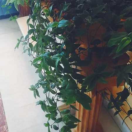 Hotel Porto & 3*